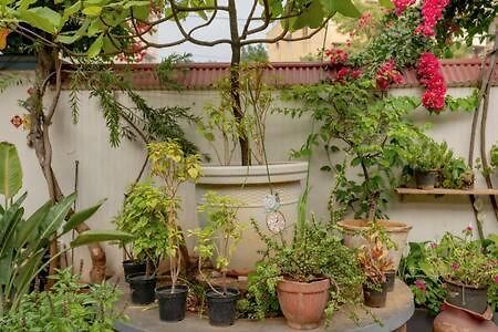 Eden Garden Villa By Jadecaps Nr Mg Road Garden 班加罗尔 外观 照片