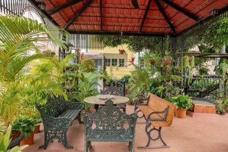 Eden Garden Villa By Jadecaps Nr Mg Road Garden 班加罗尔 外观 照片