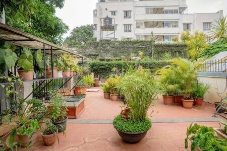 Eden Garden Villa By Jadecaps Nr Mg Road Garden 班加罗尔 外观 照片